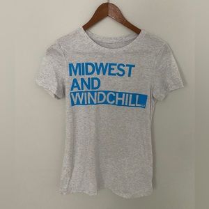 Raygun “Midwest and Windchill” Grey T-Shirt